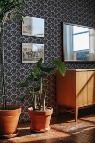 Fancy Walls lingerie-style traditional wallpaper with Dark Laces in rustic living rom interior