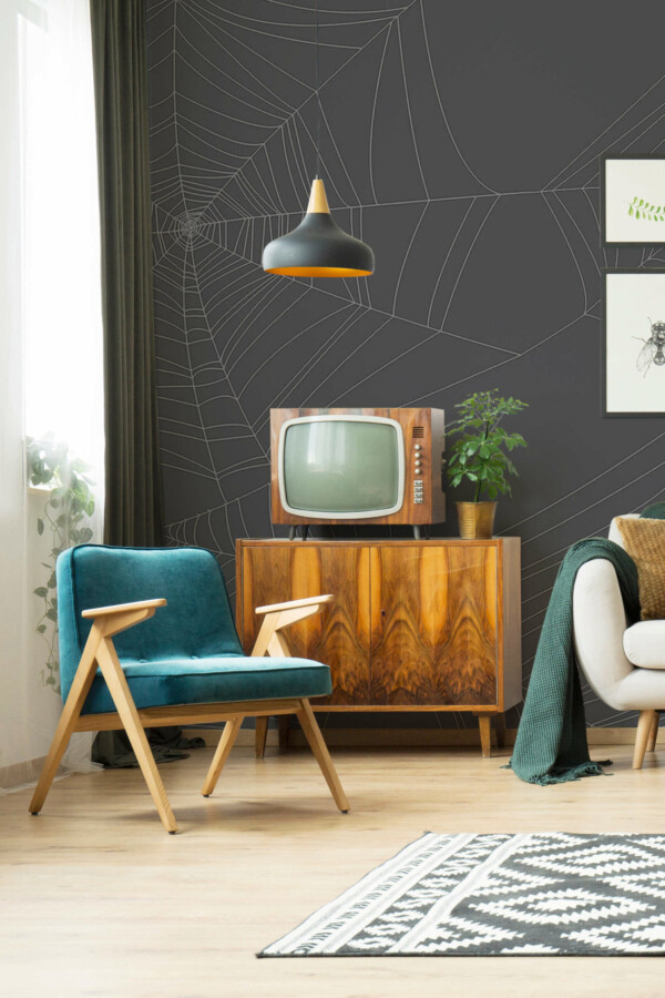 Dark Gray Spiderweb pattern self-adhesive wall mural by Fancy Walls