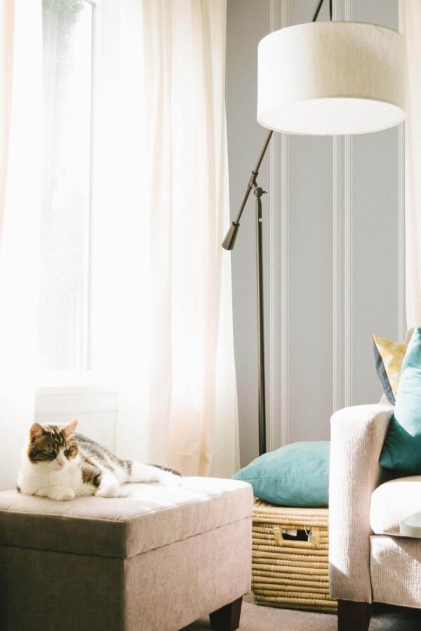 Coastal style living room decorated with Garden beadboard peel and stick wallpaper