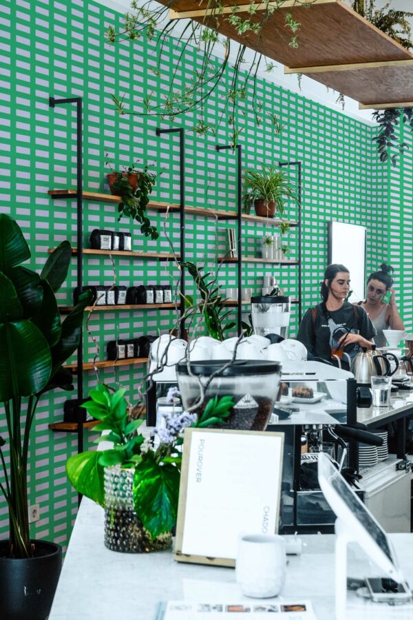 Verdant Geometry Magic Removable Wallpaper from Fancy Walls