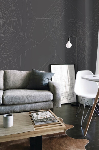 Fancy Walls Spiderweb Gray Fun wall mural peel and stick
