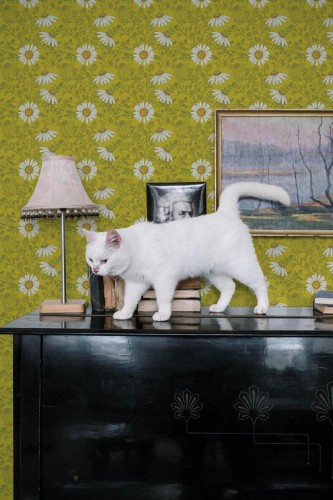 Industrial style music room decorated with Green chamomile peel and stick wallpaper