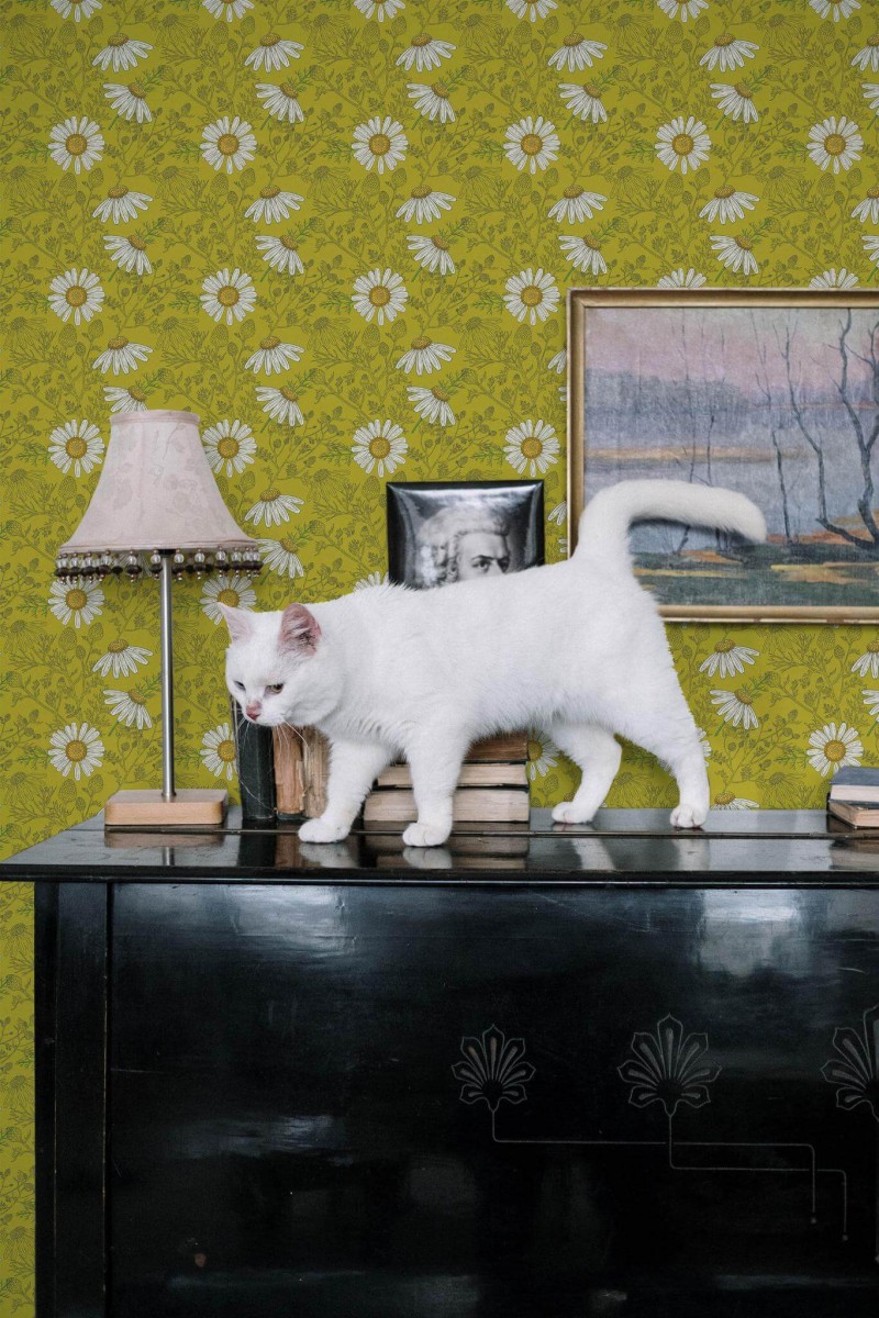 Industrial style music room decorated with Green chamomile peel and stick wallpaper