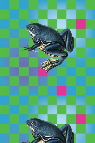 Pattern repeat of Green Maximalist Frog removable wallpaper design