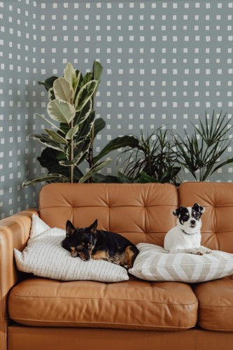 Mid-century modern style living room decorated with Green Plaid peel and stick wallpaper