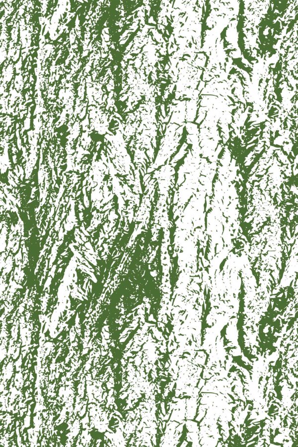 Seamless Tree Bark Wallpaper