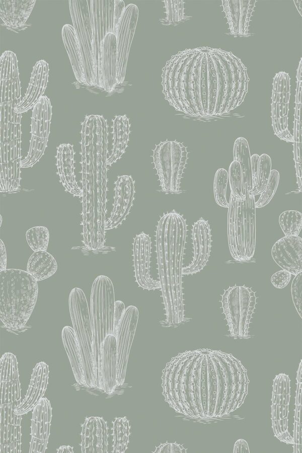 Sage Green Cactus Desert Wallpaper