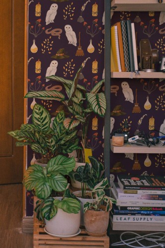 Southwestern style living room decorated with Harry Potter peel and stick wallpaper