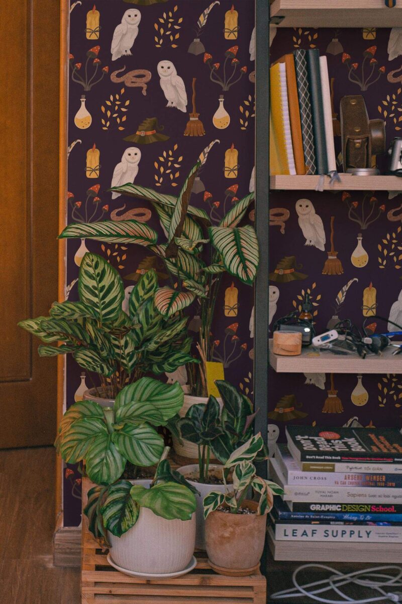 Southwestern style living room decorated with Harry Potter peel and stick wallpaper