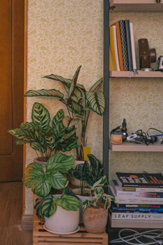 Southwestern style living room decorated with Herbs kitchen backsplash peel and stick wallpaper