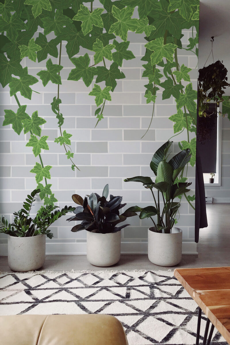 Green Ivy Vines on Brick Wall Mural with climbing ivy leaves on a gray brick surface, ideal for accent walls, rustic kitchens, or nature-inspired living rooms.