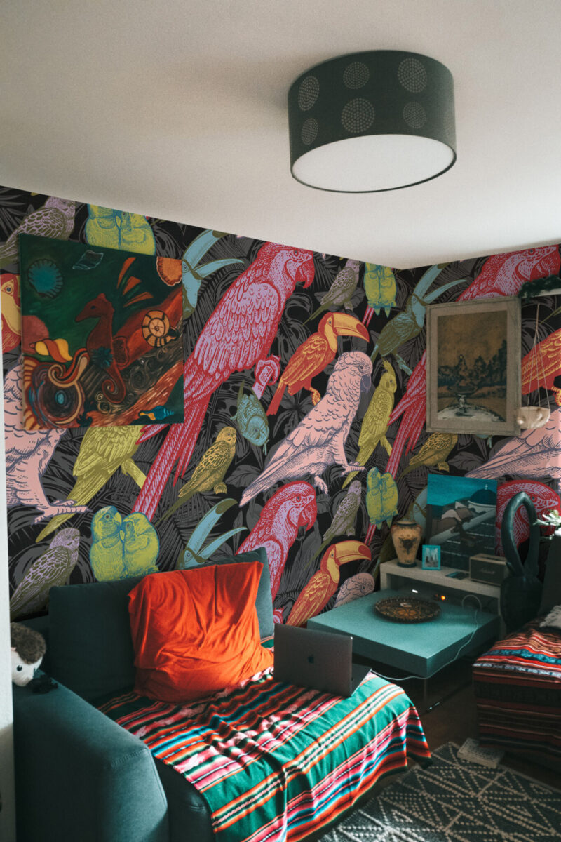 Vintage Tropical Birds Wall Mural with colorful exotic birds on a dark background with tropical leaf accents, ideal for living rooms, dining spaces, or eclectic interiors.