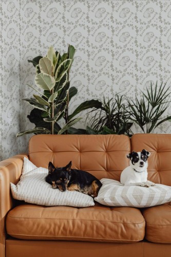 Mid-century modern style living room decorated with Khaki sleeping rabbit peel and stick wallpaper