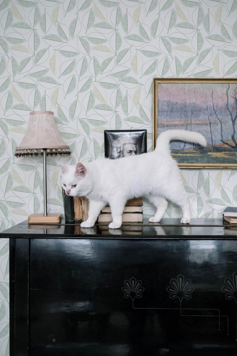 Industrial style music room decorated with Leaf line art peel and stick wallpaper