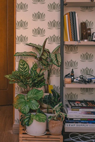 Southwestern style living room decorated with Lotus peel and stick wallpaper