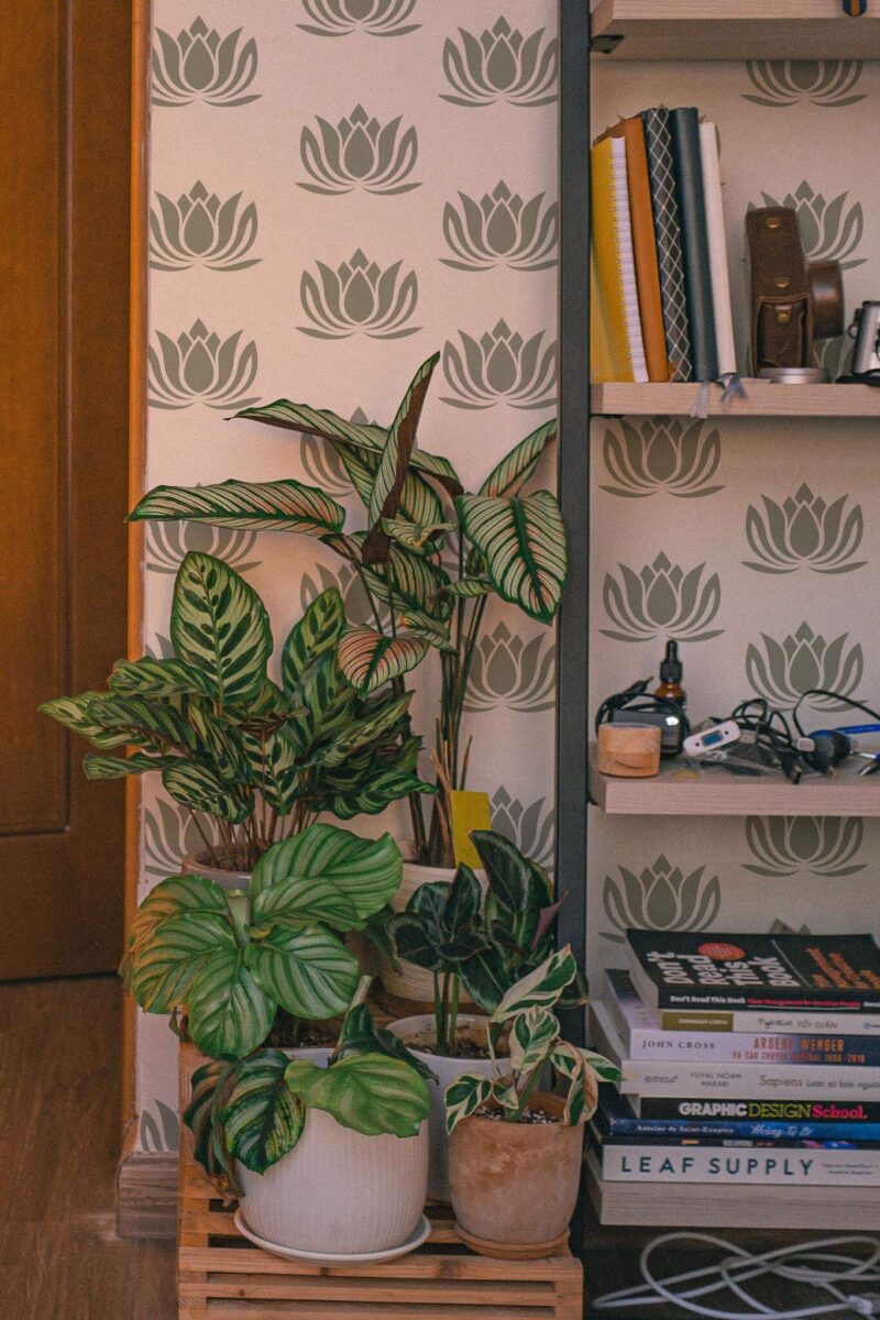 Southwestern style living room decorated with Lotus peel and stick wallpaper