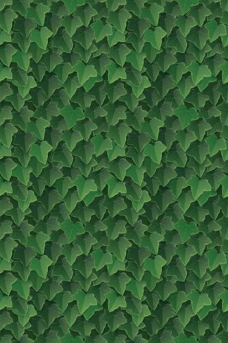Unpasted Wallpaper with Green Other Textures by Fancy Walls.