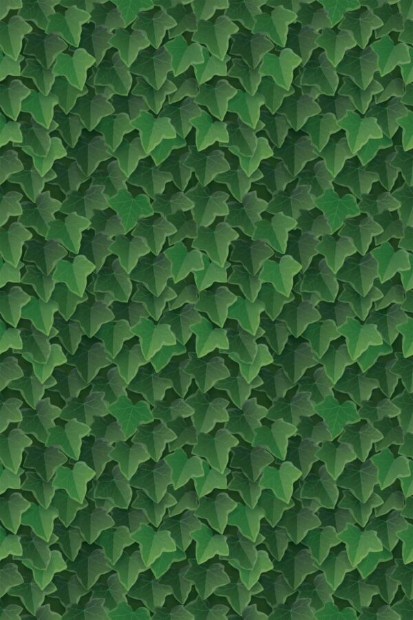 Unpasted Wallpaper with Green Other Textures by Fancy Walls.