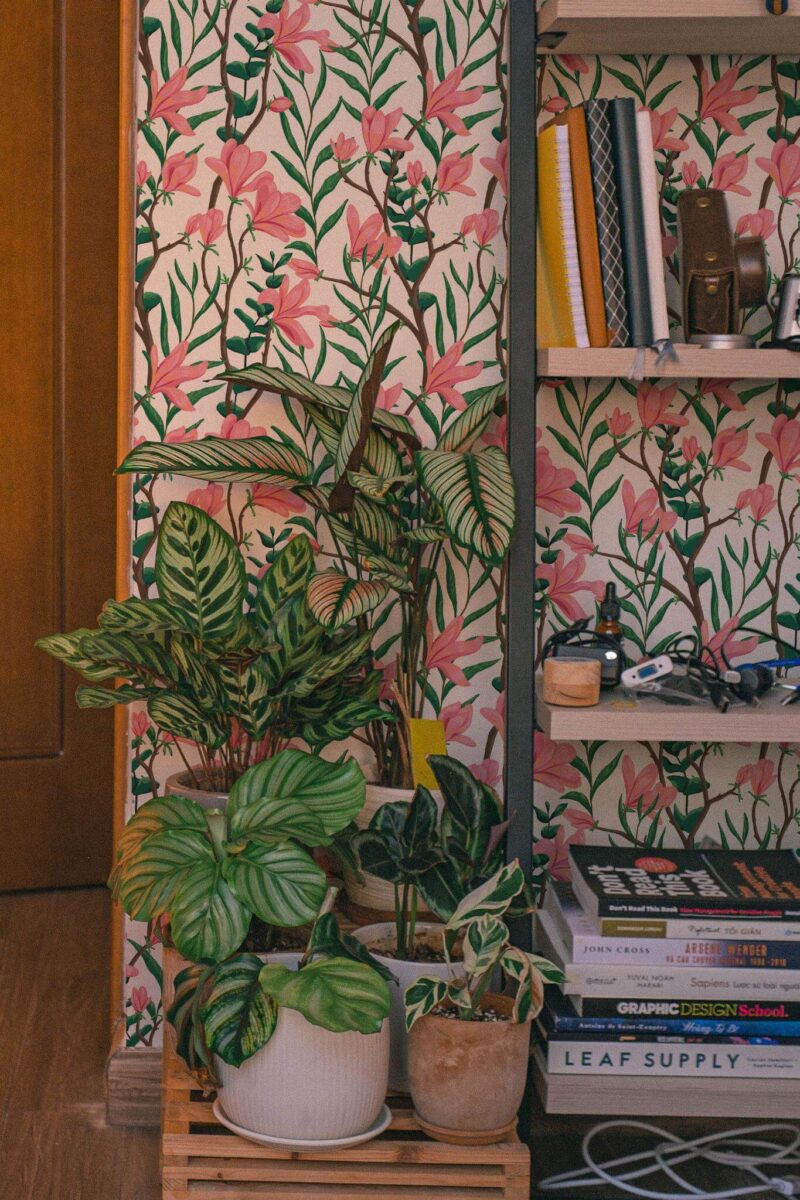 Southwestern style living room decorated with Magnolia peel and stick wallpaper
