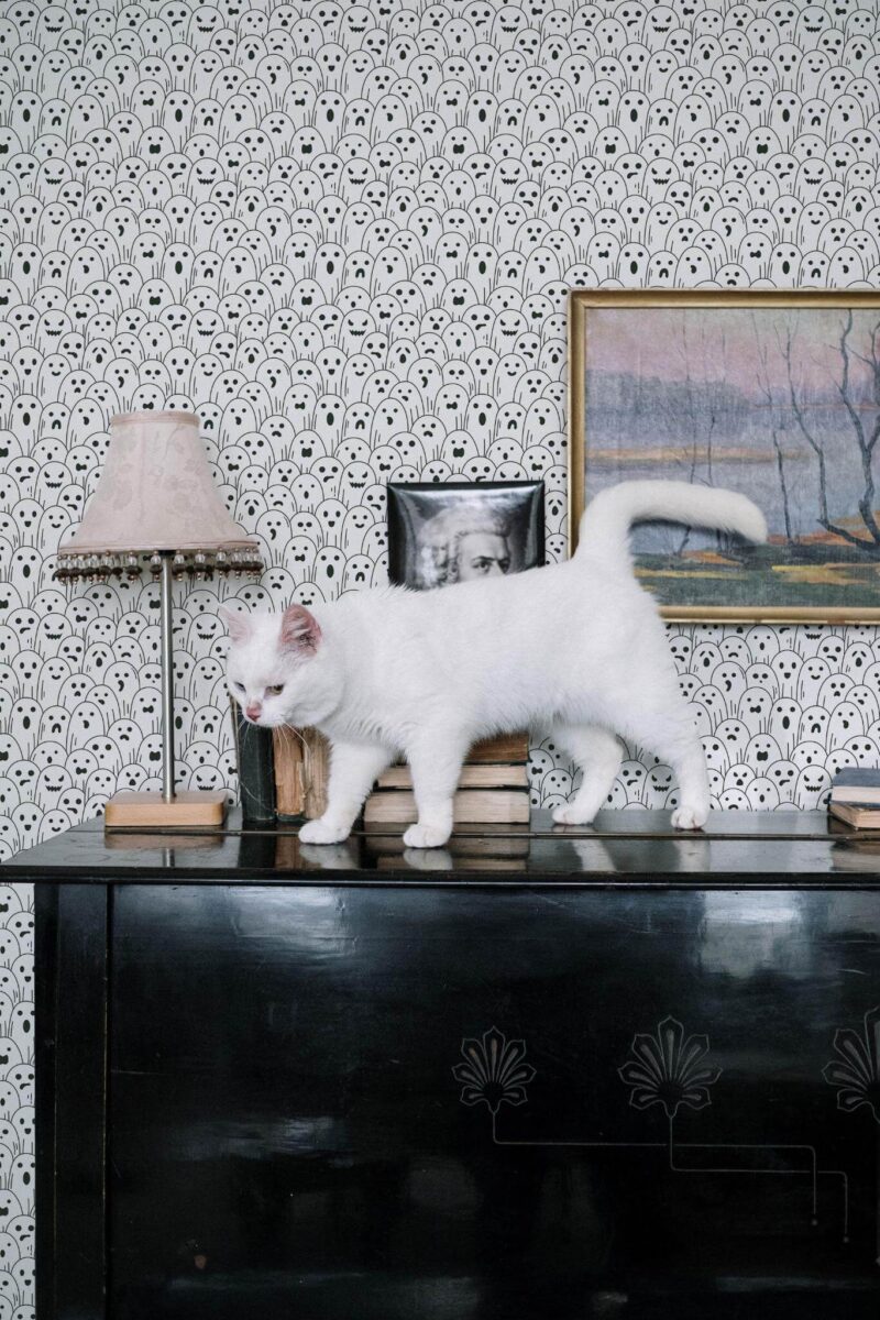Industrial style music room decorated with Minimalist Monochrome Ghost peel and stick wallpaper