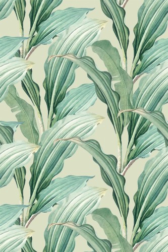 Pattern repeat of Modern tropical leaf removable wallpaper design