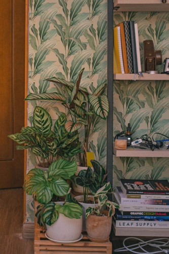 Southwestern style living room decorated with Modern tropical leaf peel and stick wallpaper
