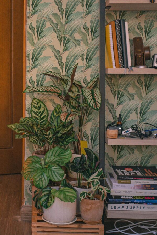Southwestern style living room decorated with Modern tropical leaf peel and stick wallpaper