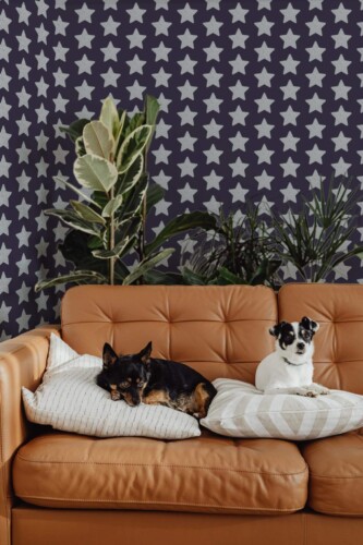 Mid-century modern style living room decorated with New year star peel and stick wallpaper