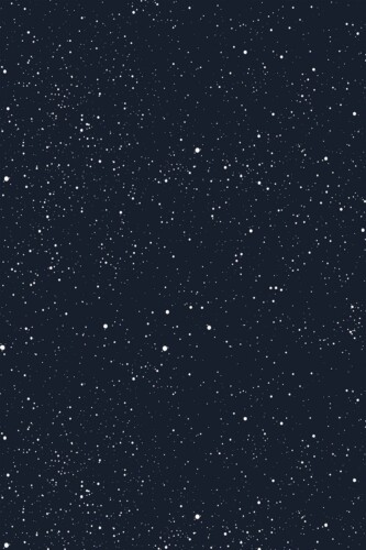 Fancy Walls black and white snowing peel and stick wallpaper