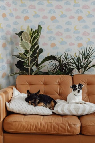Mid-century modern style living room decorated with Notebook peel and stick wallpaper