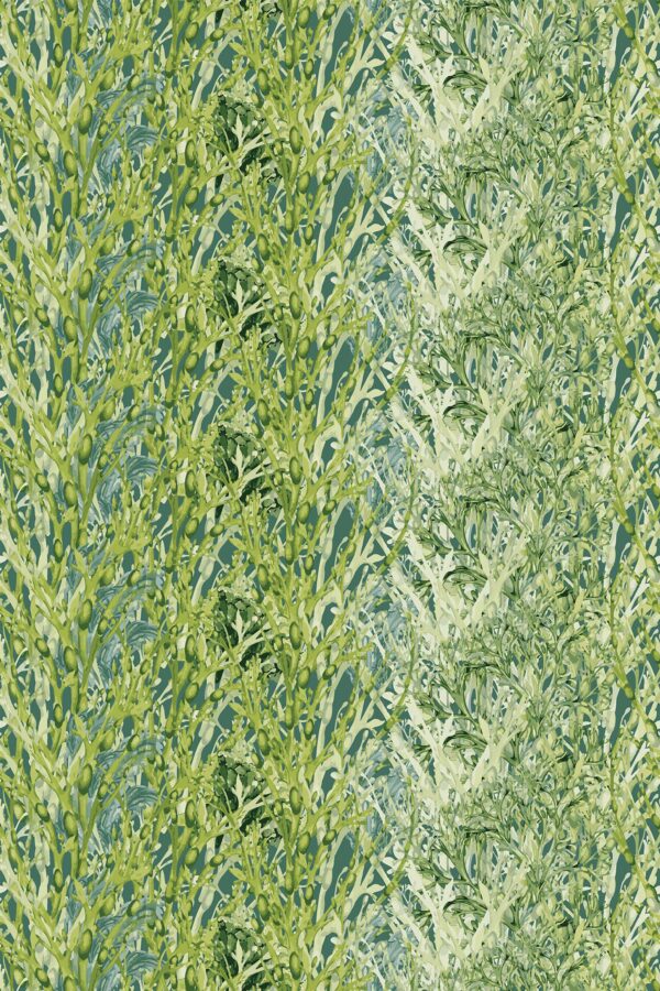Olive Green Salad Wallpaper