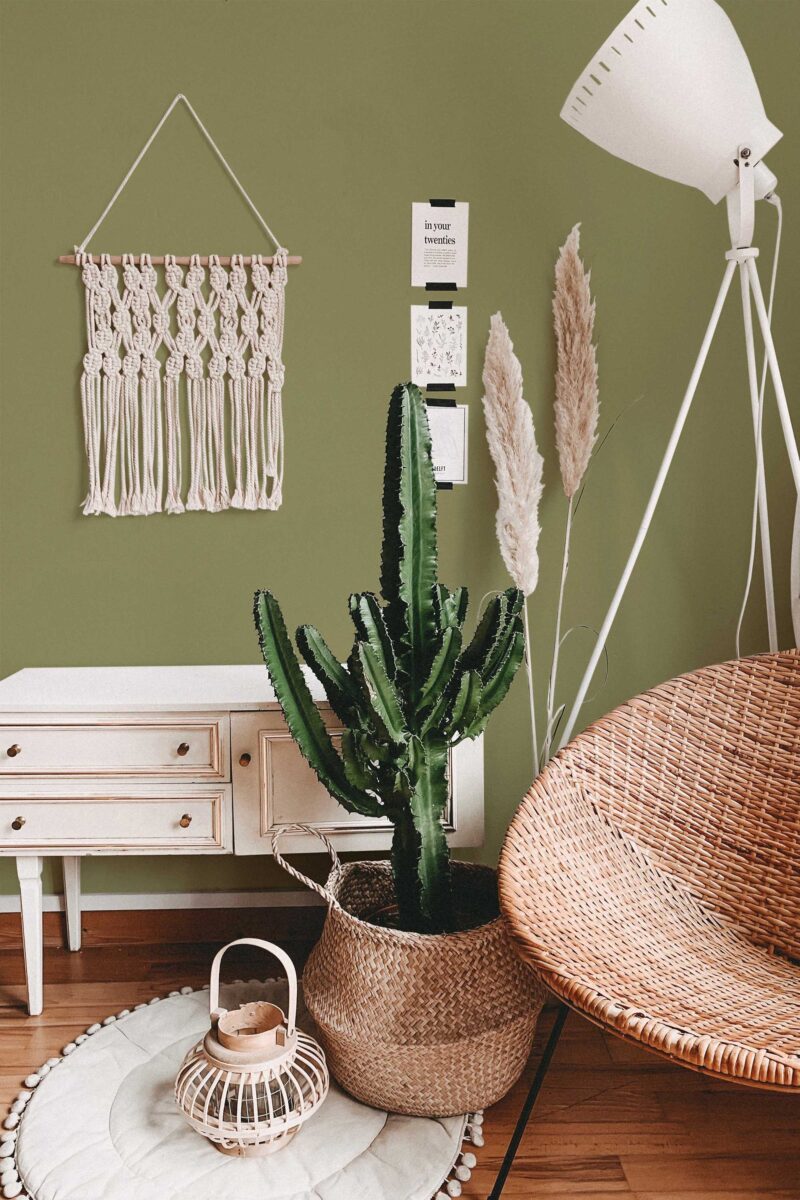 Solid Color Olive Green Wallpaper