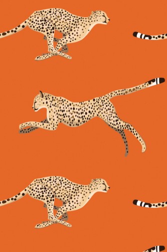 Fancy Walls Orange Cheetah traditional wallpaper
