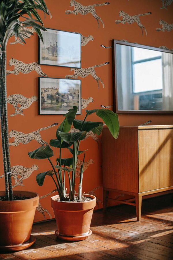 Fancy Walls Orange Cheetah self-adhesive wallpaper