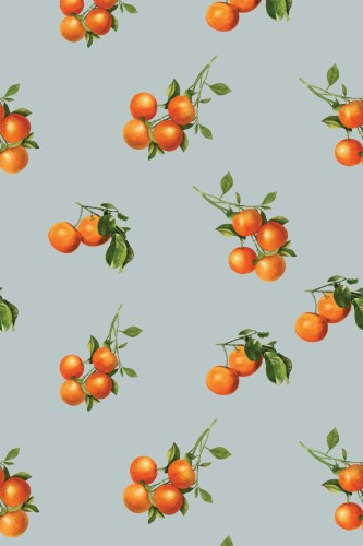 Pattern repeat of Orange fruit removable wallpaper design