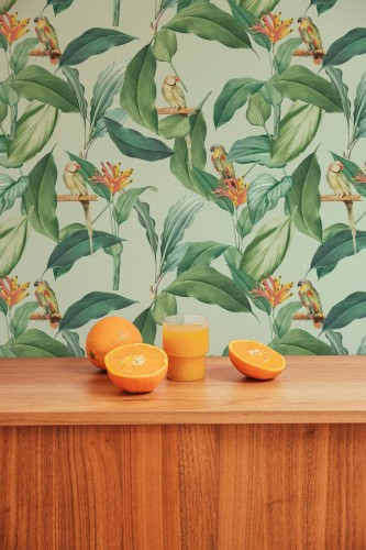 Mid-century style living room decorated with Parrot leaf peel and stick wallpaper