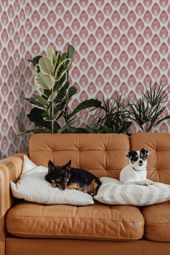 Mid-century modern style living room decorated with Peacock Feather peel and stick wallpaper