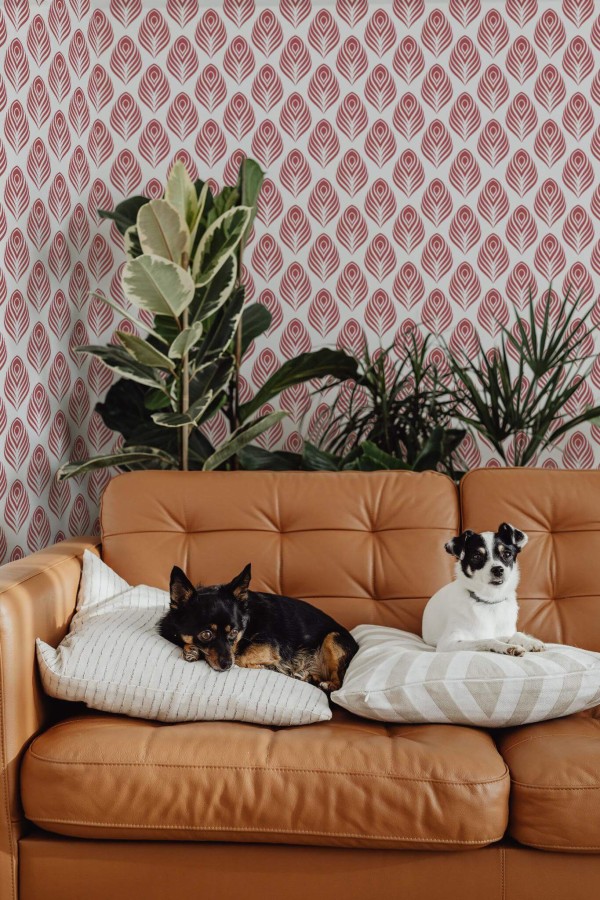 Mid-century modern style living room decorated with Peacock Feather peel and stick wallpaper