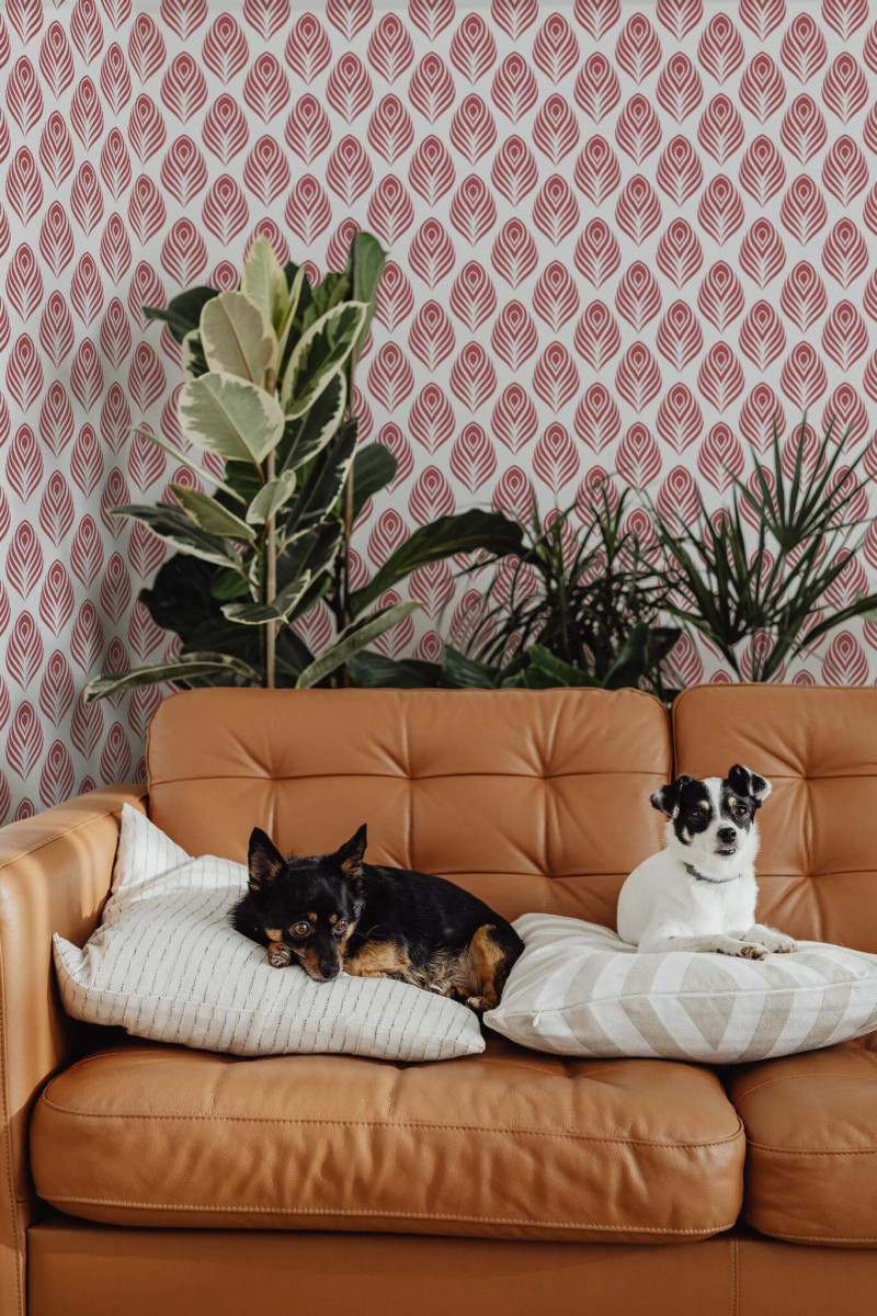 Mid-century modern style living room decorated with Peacock Feather peel and stick wallpaper