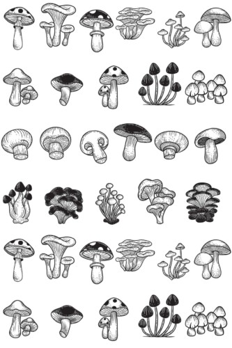 Fancy Walls wallpaper for walls with monochrome forest mushrooms