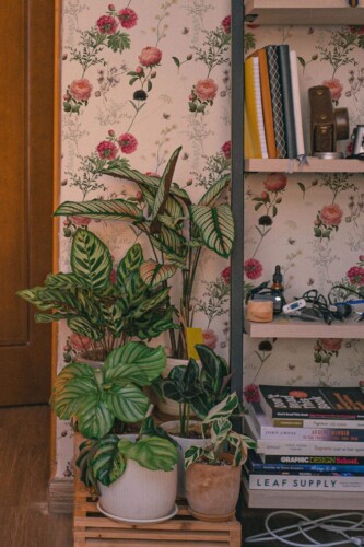 Southwestern style living room decorated with Peony and cotton peel and stick wallpaper