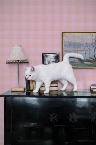 Industrial style music room decorated with Pink and orange plaid peel and stick wallpaper