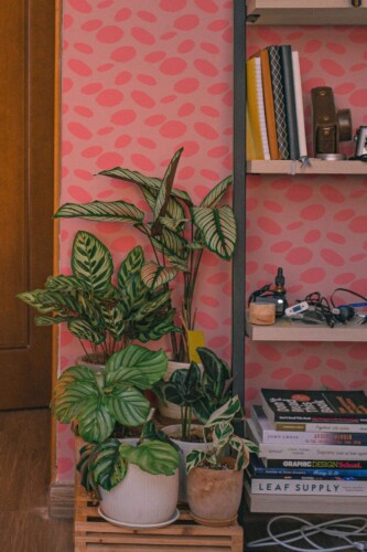 Southwestern style living room decorated with Pink cheetah spots peel and stick wallpaper
