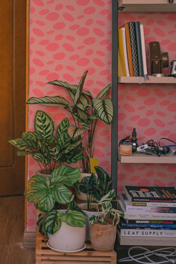 Southwestern style living room decorated with Pink cheetah spots peel and stick wallpaper