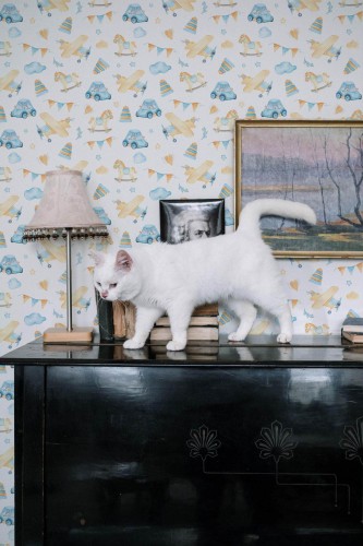 Industrial style music room decorated with Plane car toys peel and stick wallpaper