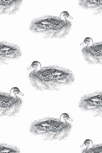 Pattern repeat of Realistic duck removable wallpaper design