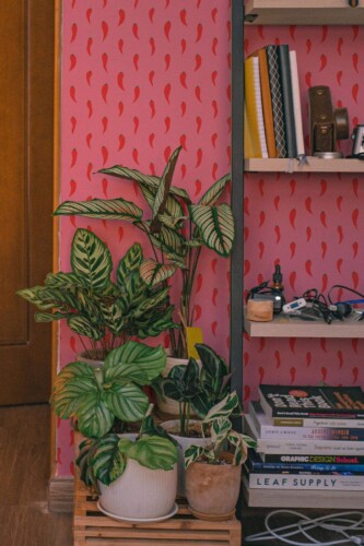 Southwestern style living room decorated with Red hot chili peppers peel and stick wallpaper