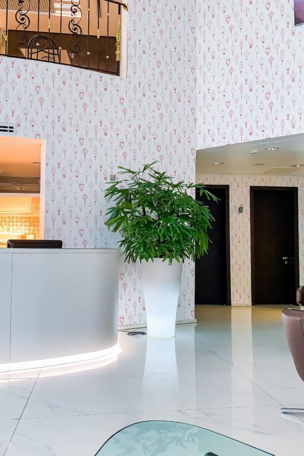 Modern style hallway in a hotel decorated with Red lantern peel and stick wallpaper