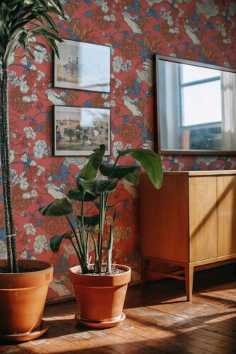 A vibrant red floral wallpaper featuring detailed illustrations of birds and flowers, creating a dynamic, nature-inspired pattern. The design combines shades of blue, orange, and beige to offer a rich, harmonious feel, bringing energy and warmth to any space. This wallpaper, perfect for accent walls, is complemented by a contemporary room setting with a plant, framed artwork, and wooden furniture, creating a cozy and inviting atmosphere. The Fancy Walls peel and stick or non-pasted wallpaper is ideal for transforming your space with bold, timeless elegance.