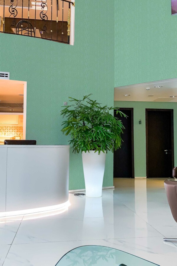 Refreshing Dental Motif traditional wallpaper from Fancy Walls